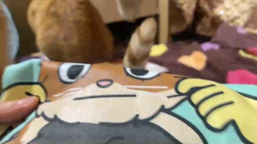 番組サムネイル