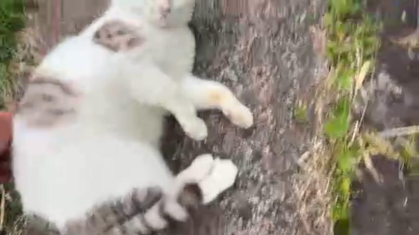 番組サムネイル