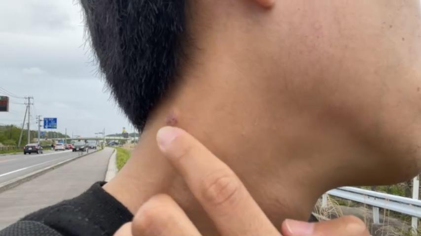 番組サムネイル