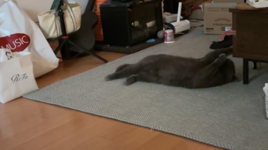 番組サムネイル