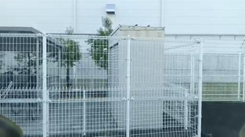 番組サムネイル