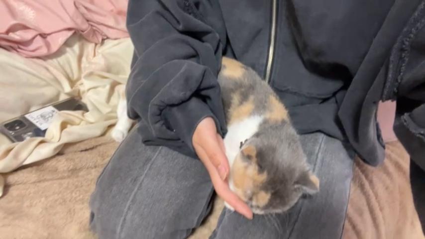 番組サムネイル