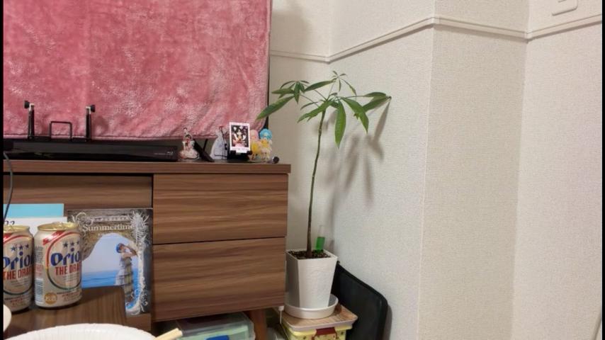 番組サムネイル