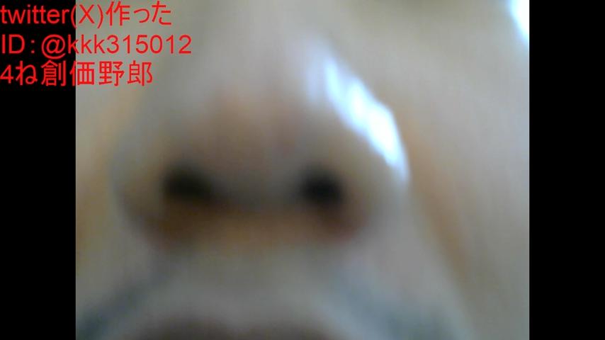 番組サムネイル
