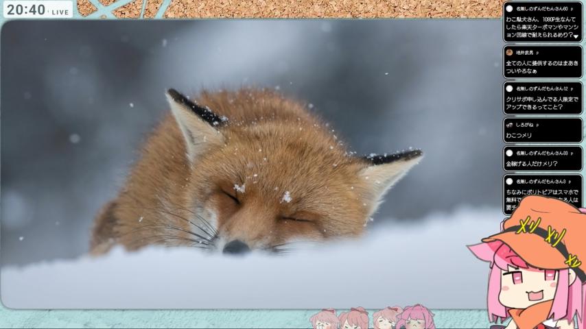 番組サムネイル