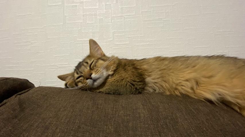 番組サムネイル