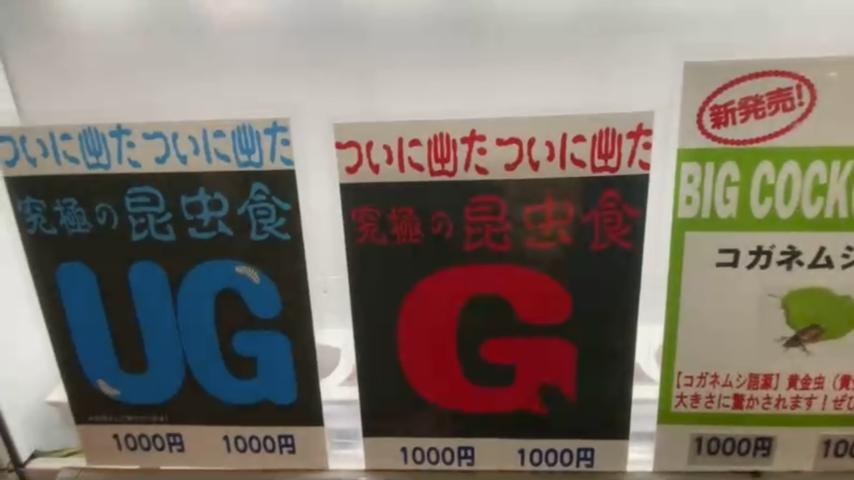 番組サムネイル