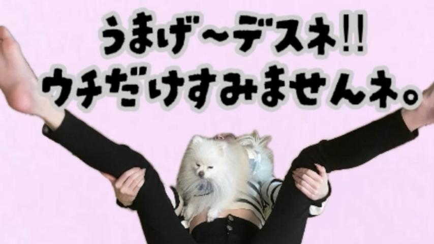 番組サムネイル