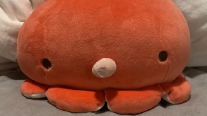 番組サムネイル