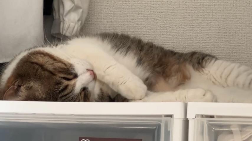 番組サムネイル