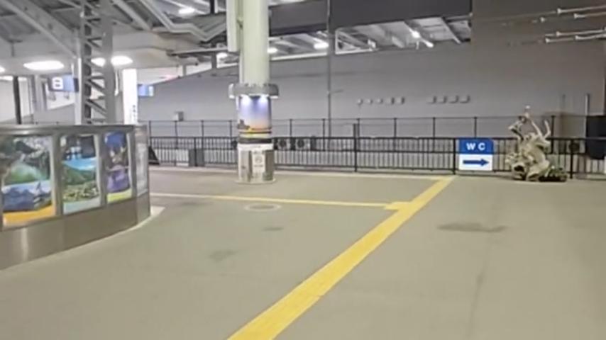 番組サムネイル