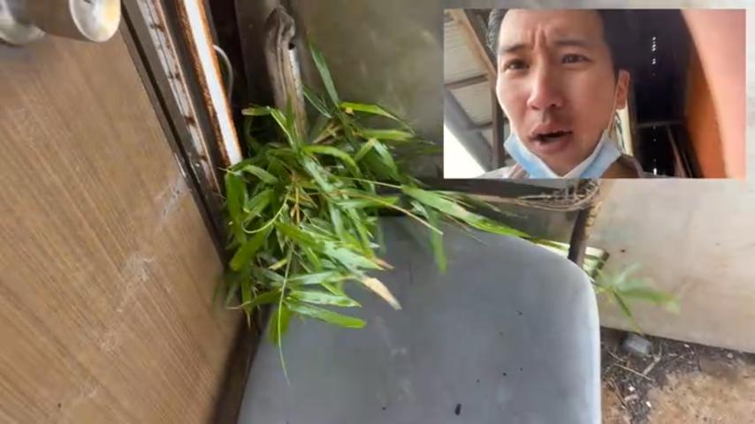 番組サムネイル