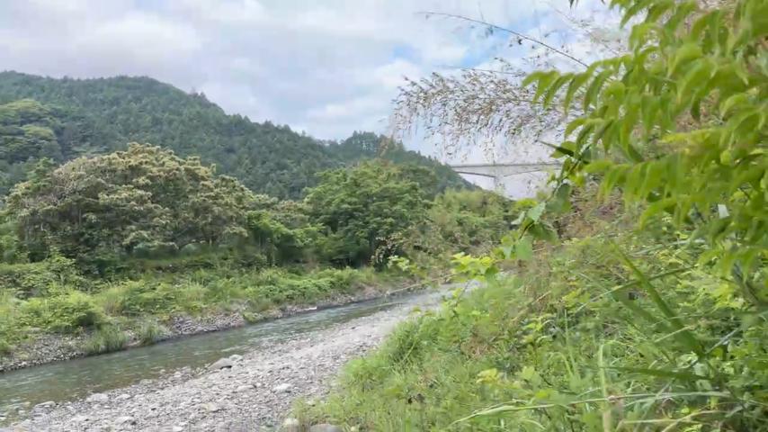 番組サムネイル