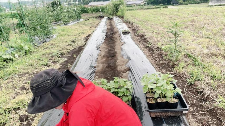 番組サムネイル