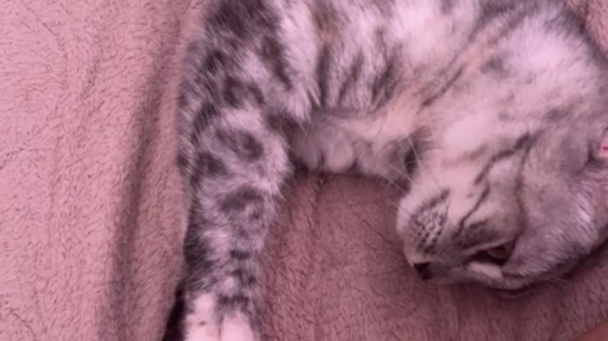 番組サムネイル