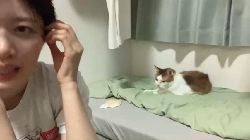 番組サムネイル