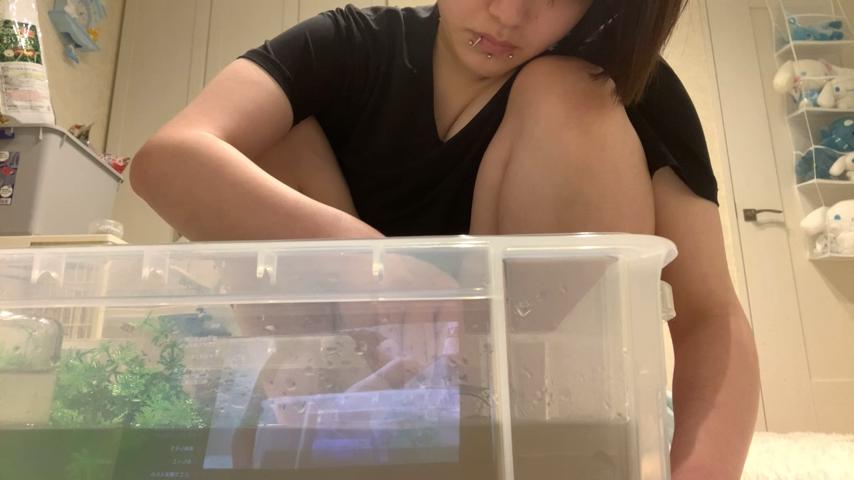 番組サムネイル