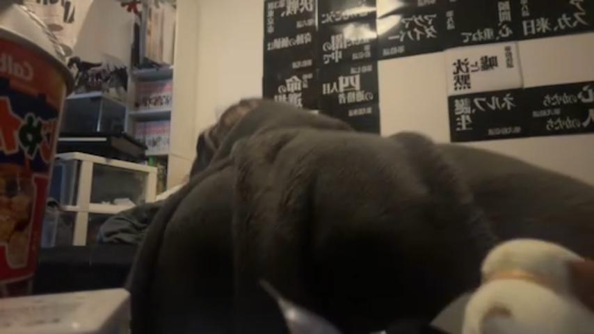 番組サムネイル