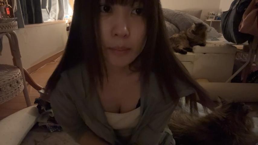 番組サムネイル