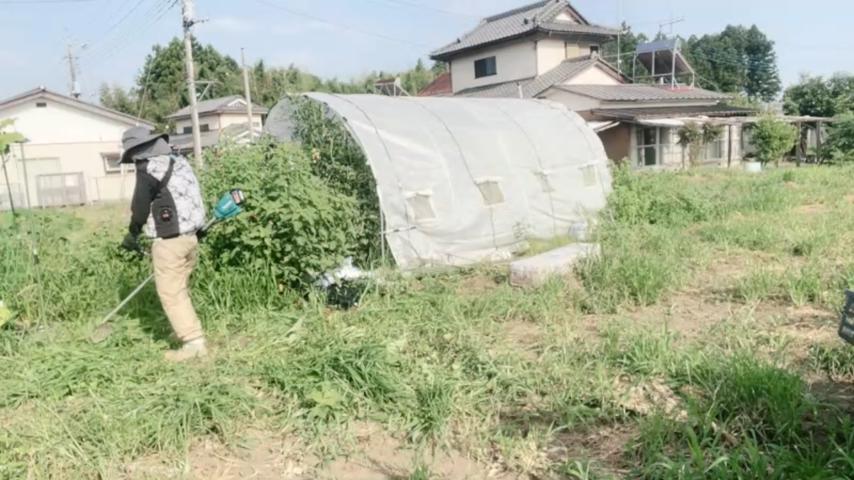 番組サムネイル