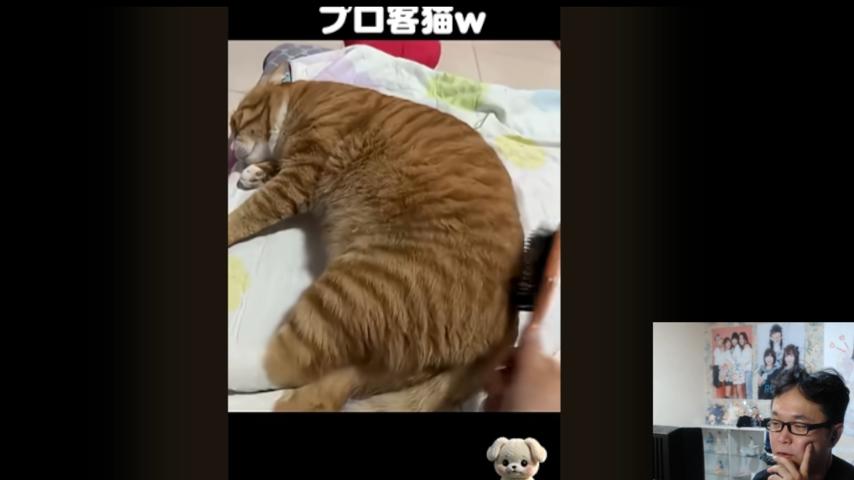 番組サムネイル