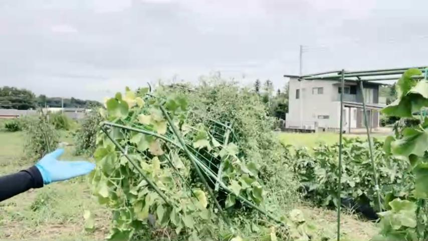 番組サムネイル