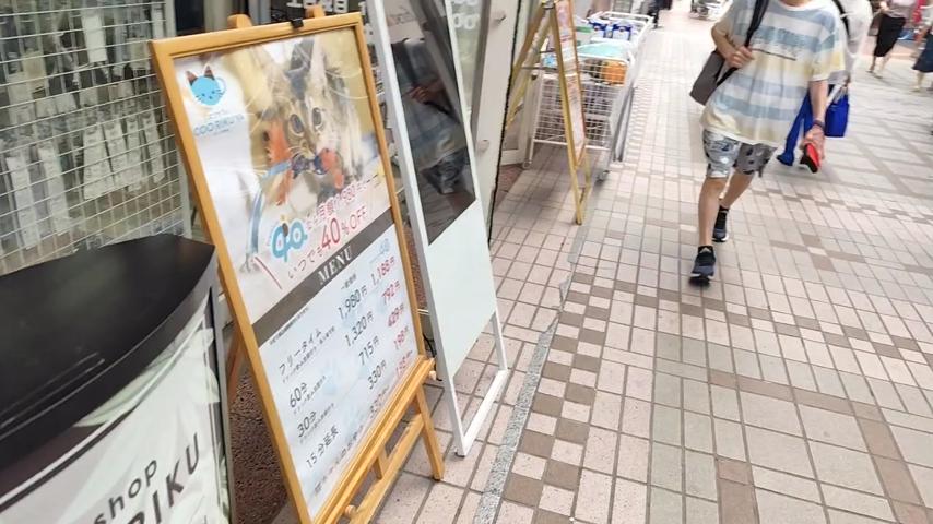 番組サムネイル