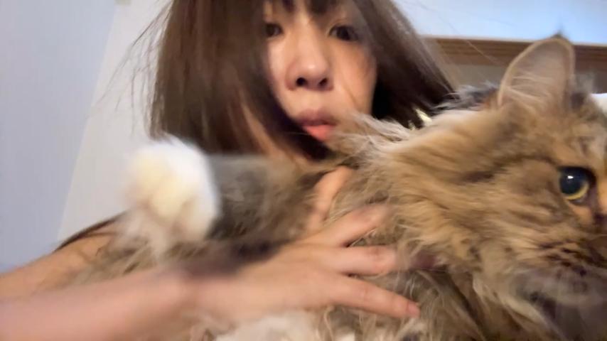 番組サムネイル