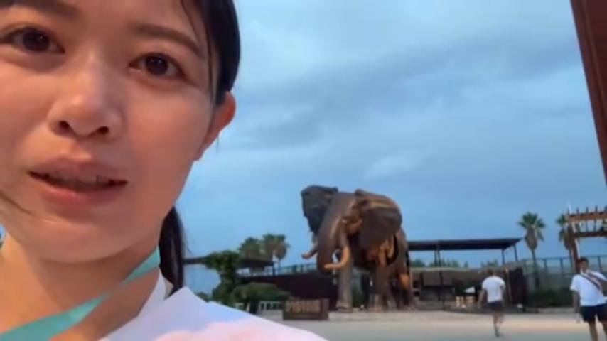 番組サムネイル