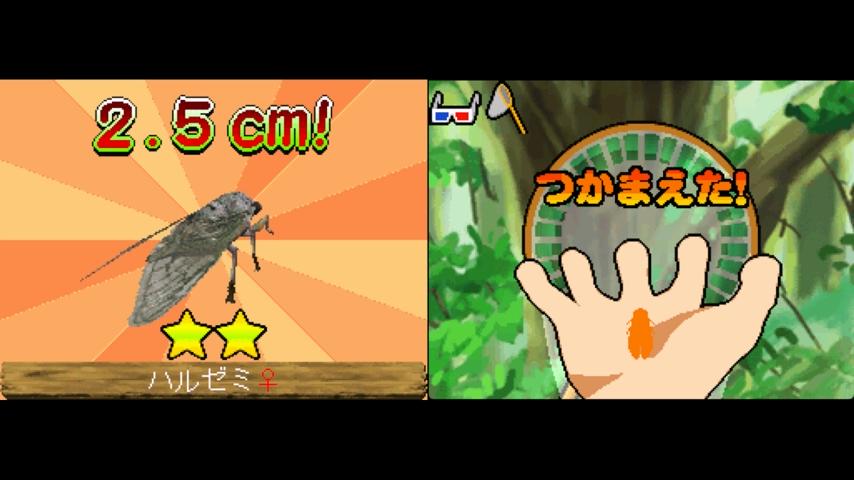 番組サムネイル