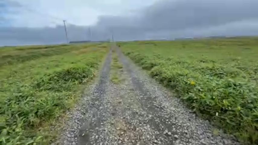 番組サムネイル