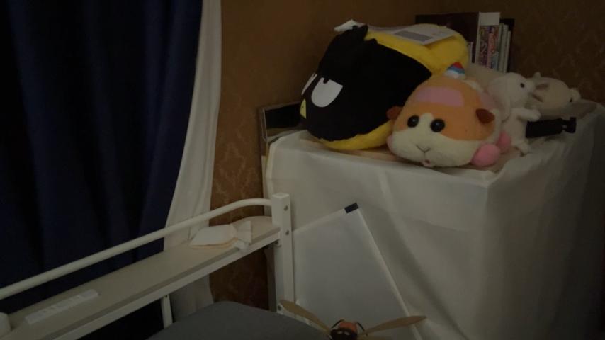 番組サムネイル