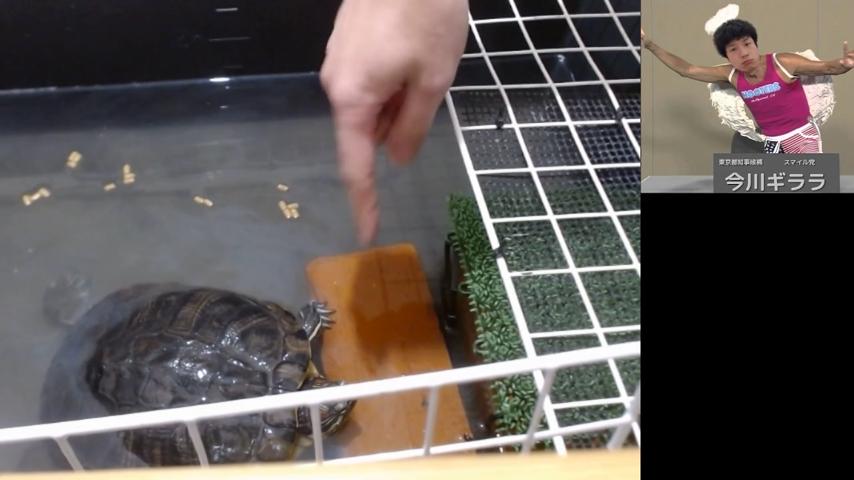 番組サムネイル