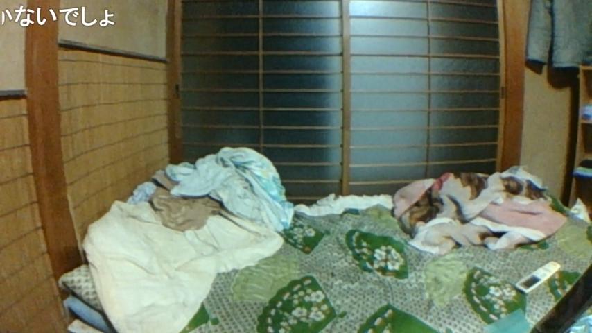番組サムネイル