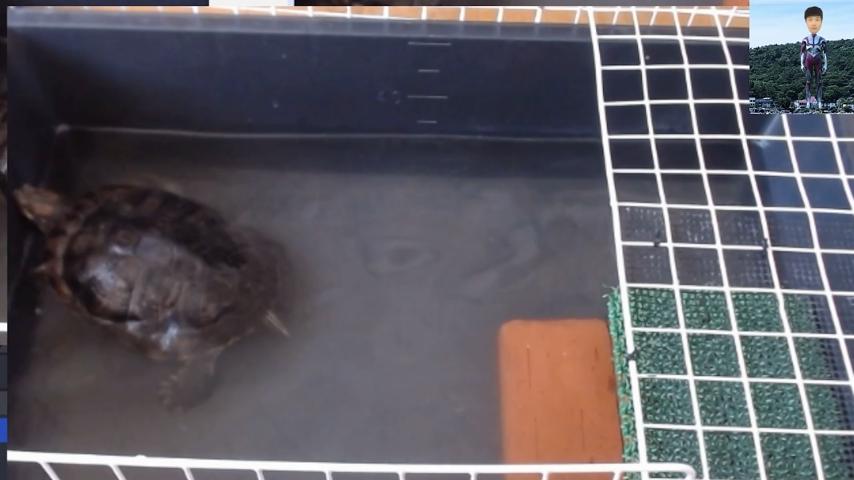 番組サムネイル