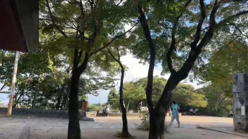 番組サムネイル