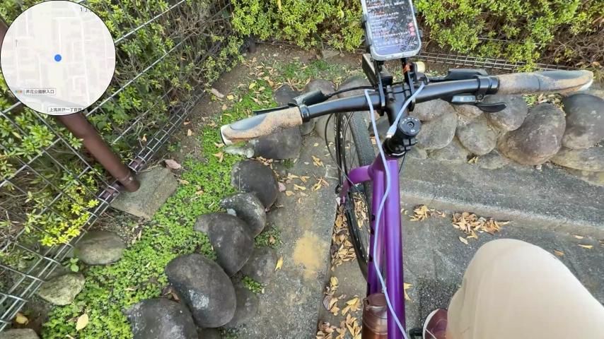 番組サムネイル